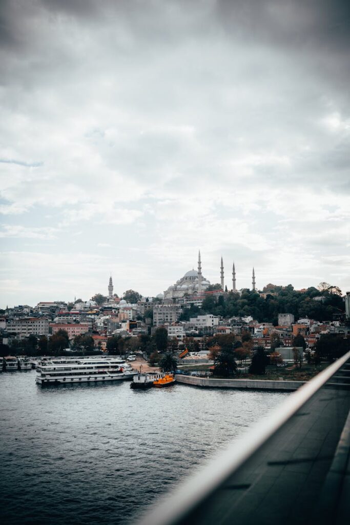 A View of the Suleymaniye Mosque in Istanbul